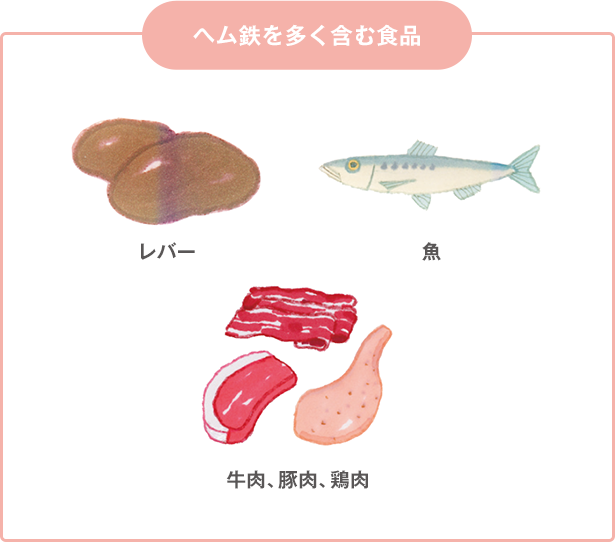 ヘム鉄を多く含む食品