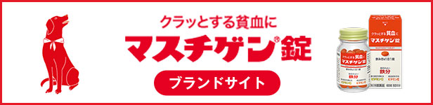 「クラっとする貧血に」マスチゲン錠 ブランドサイト