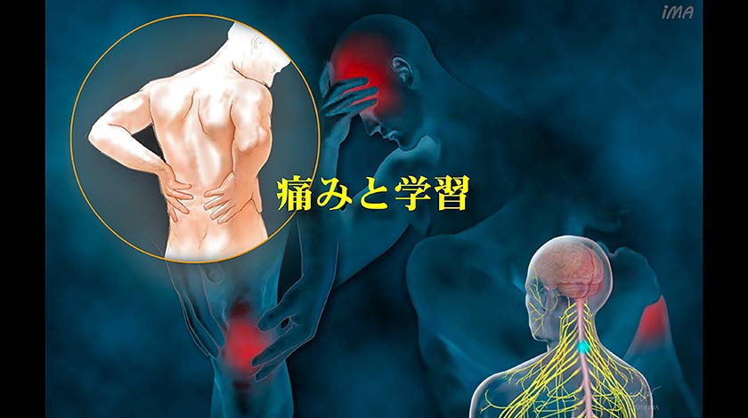 体の痛みの原因となるもの