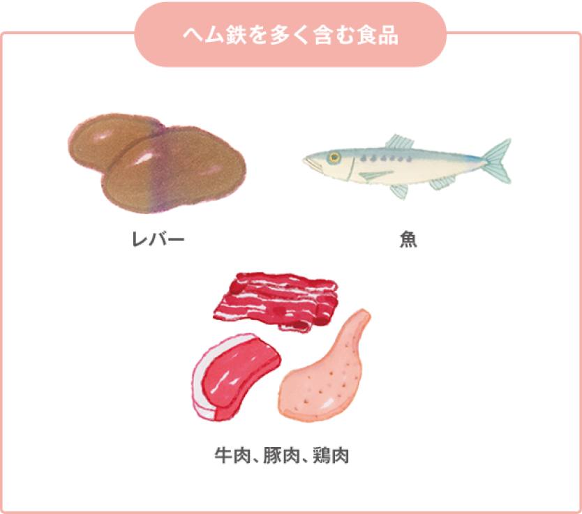 へム鉄を多く含む食品