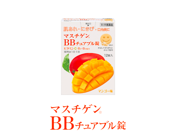 マスチゲンBBチュアブル錠の商品写真