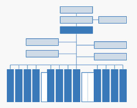 组织结构图