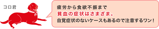 疲労から食欲不振まで貧血の症状はさまざま。自覚症状のないケースもあるので注意するワン！